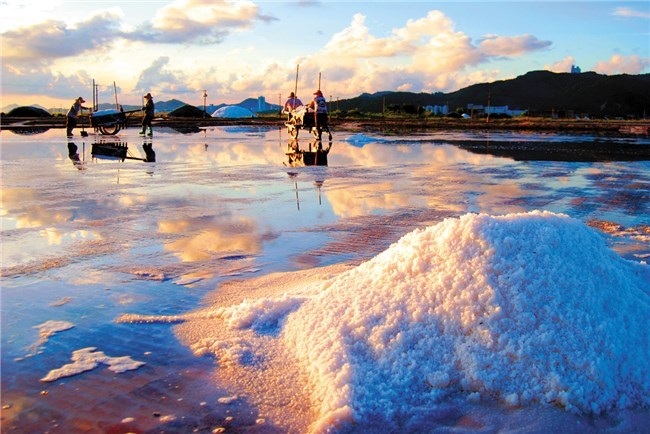 1759111722481_153NXbR7 1759111722481_153NXbR7