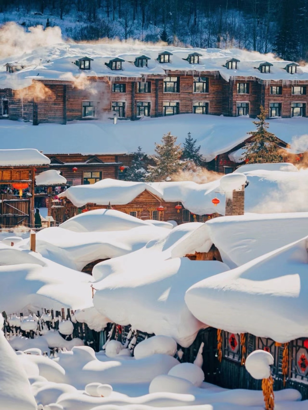 1761203687727_31cf2aPF