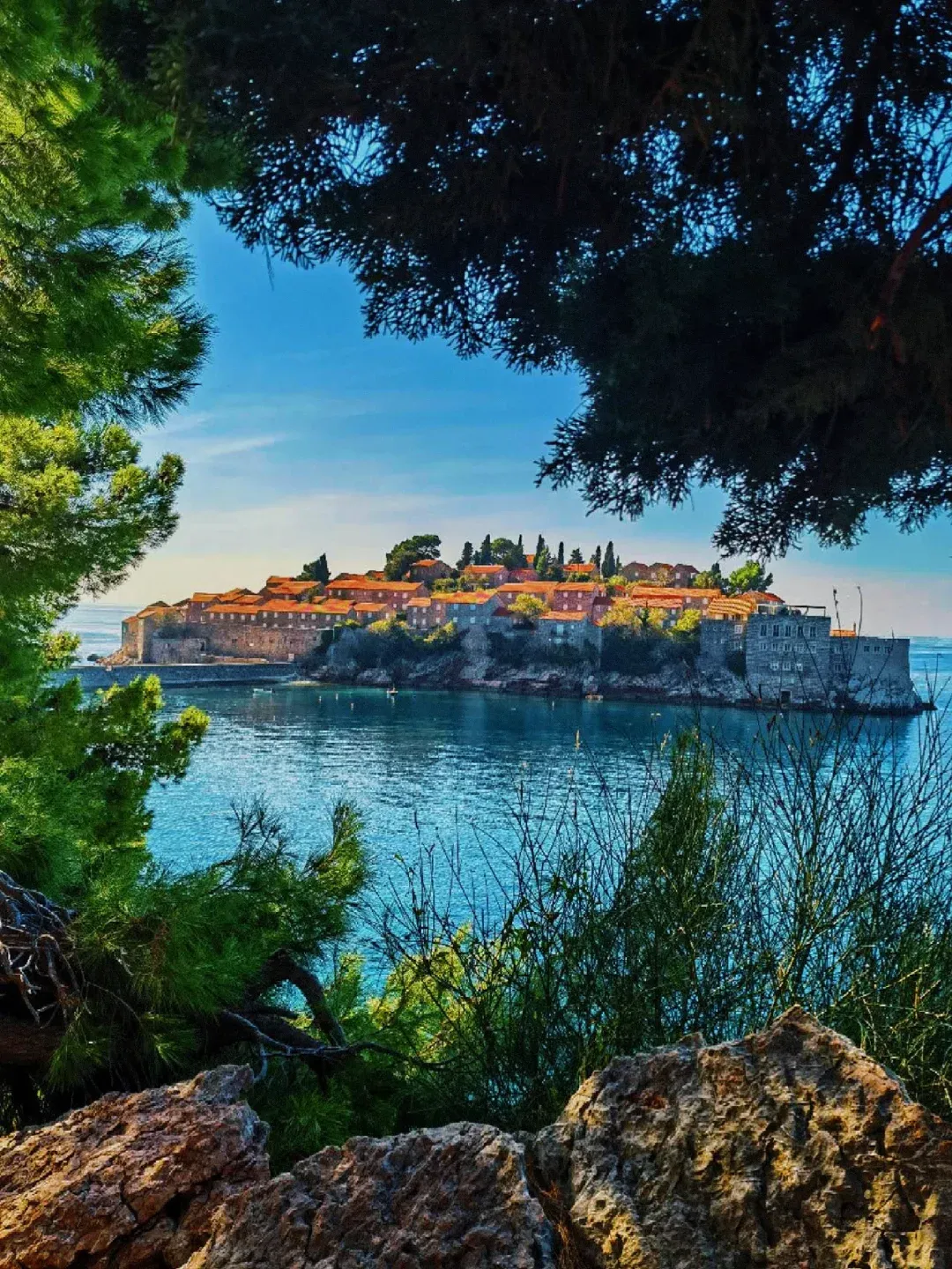 17c8e170515fa7b44a8482326f3b53a4-sz_3612221 17c8e170515fa7b44a8482326f3b53a4-sz_3612221