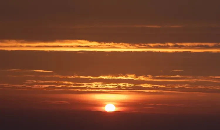 17d86a3297168b9b61ffc72e117d28a3-sz_493442