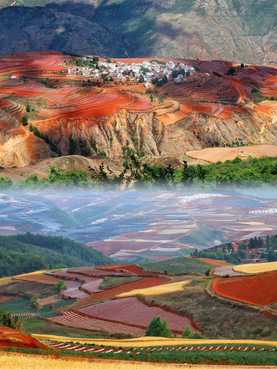 180521a1a0f3aaf96fcee18f66ec550c-sz_3978624 180521a1a0f3aaf96fcee18f66ec550c-sz_3978624