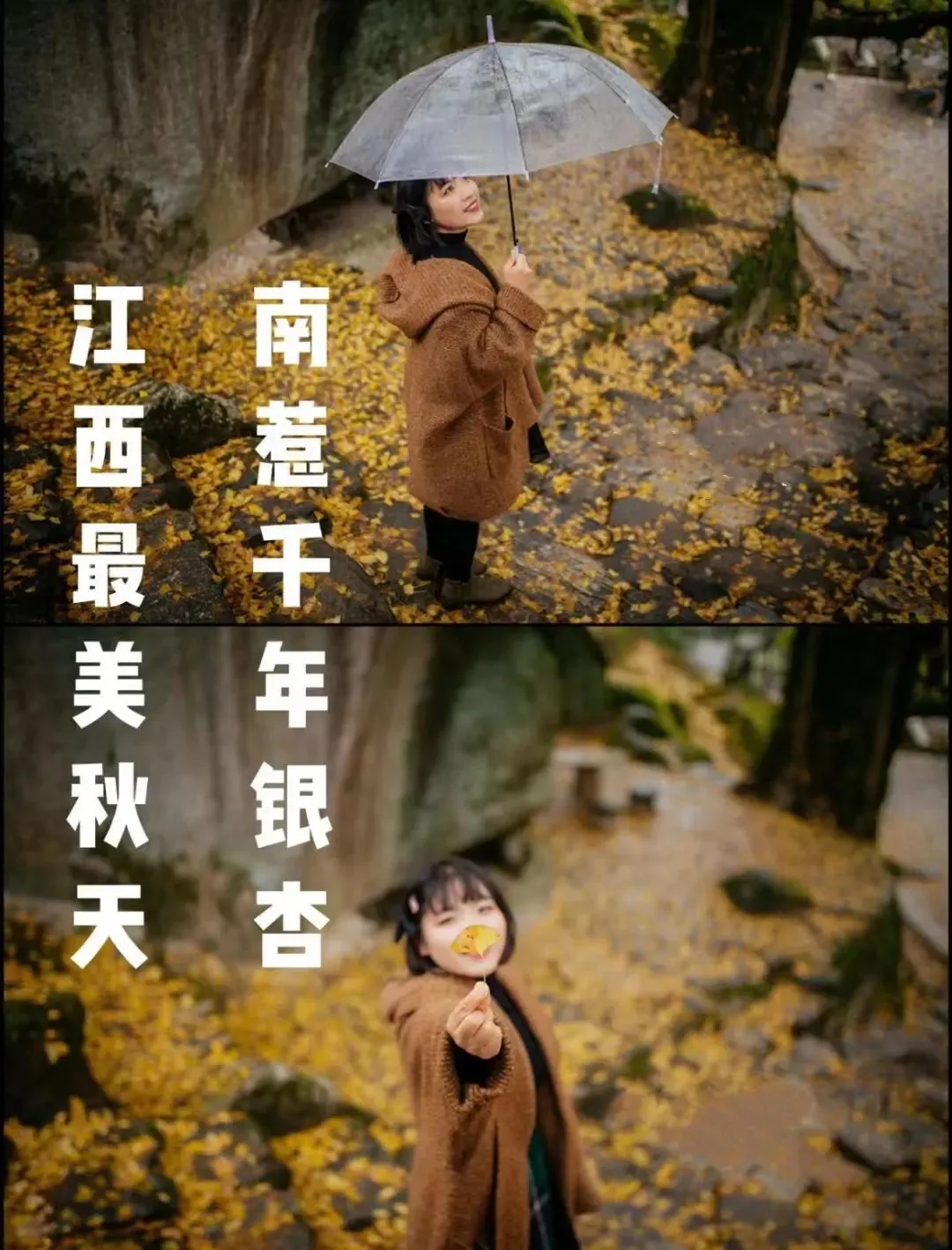 187d82183f627120da9348d4a87245fa-sz_203357