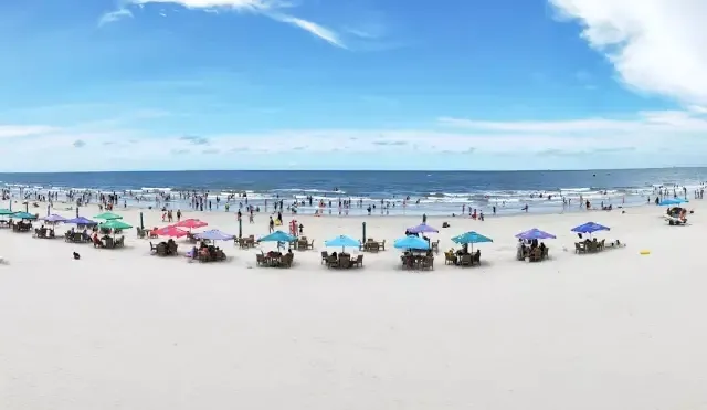 187dd4f072cda2486bad05904f896b8d-sz_94183 187dd4f072cda2486bad05904f896b8d-sz_94183