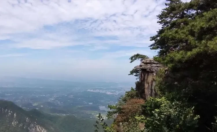 18894eceb1a15263fdb1567dd973a260-sz_104580