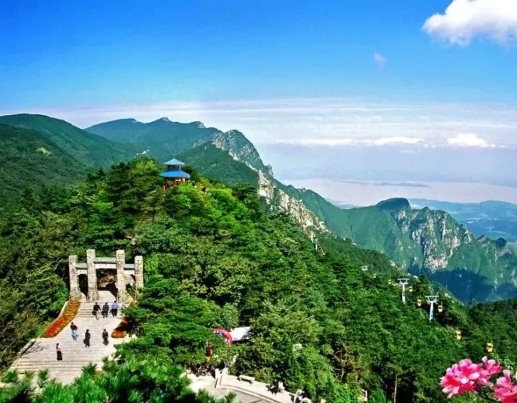 188decb2e629b295dbc39e59198de1dd-sz_944218