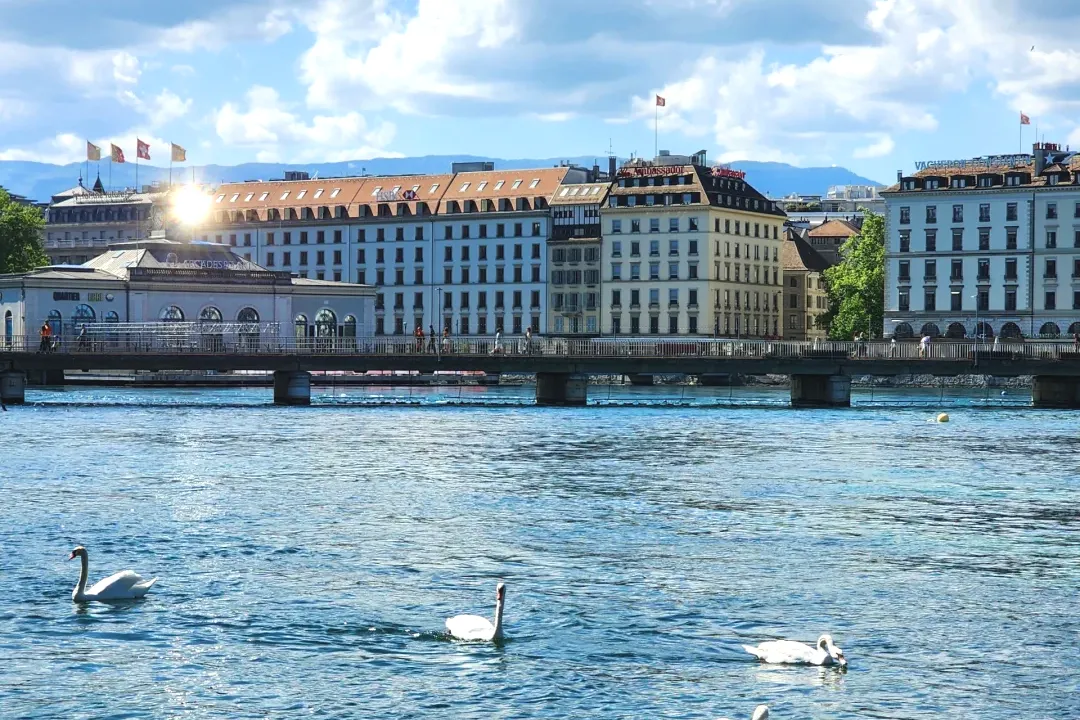 19aa5e86420d0e87dfe7e62c6be80ebf-sz_3041539