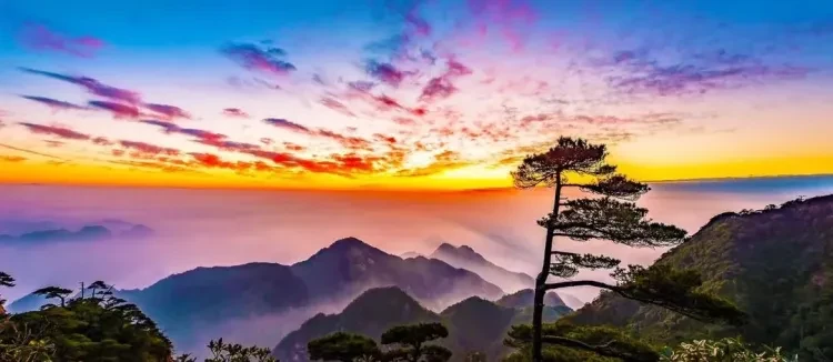 19d98e65b4ca1a580b74e03e914feff8-sz_82931