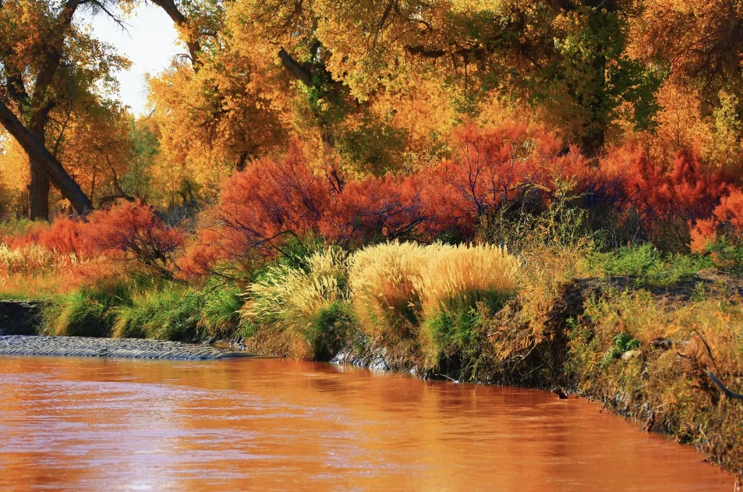 19da3aeee981b578c99be0772b5559a9-sz_609299 19da3aeee981b578c99be0772b5559a9-sz_609299