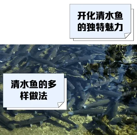 1a517880f273cd6cd9ae3c7949fc9ddf-sz_328099 1a517880f273cd6cd9ae3c7949fc9ddf-sz_328099