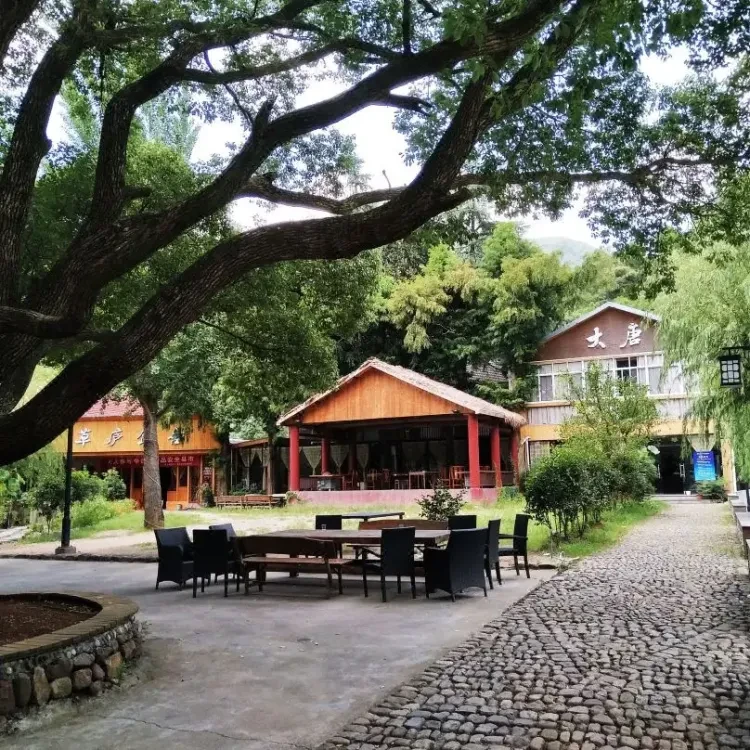 1a54cb695590f41094f236953af5cfdb-sz_1696772