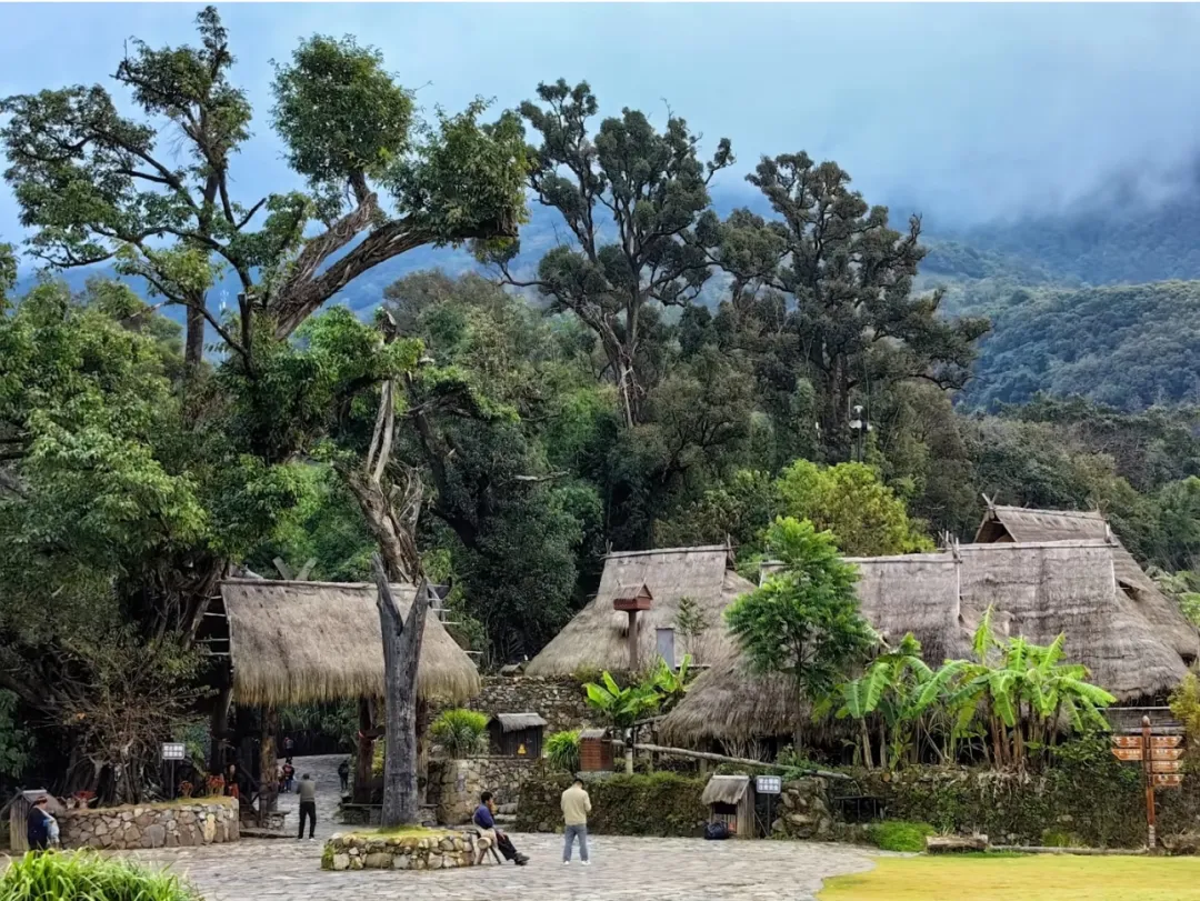 1a6ee01b204ee19ccbfa885ad1cc1039-sz_650725 1a6ee01b204ee19ccbfa885ad1cc1039-sz_650725