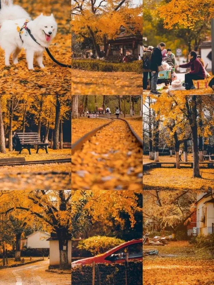 1a9e23edd3de5a326ca05f3824e94c76-sz_4173500 1a9e23edd3de5a326ca05f3824e94c76-sz_4173500