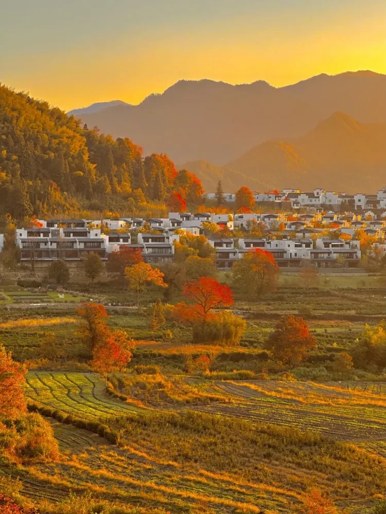 1adf37cead2308659acaca979464e604-sz_360056-1 1adf37cead2308659acaca979464e604-sz_360056-1