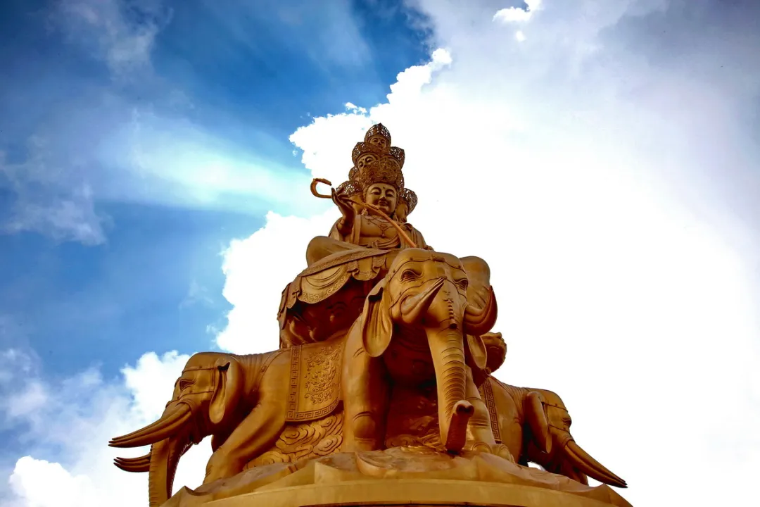 1ae7373e1a919040267a42c23560e49b-sz_205004-2