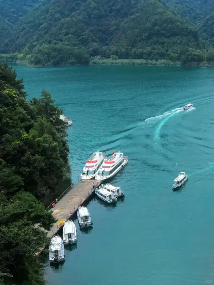 1b2aabe48264014ec6e02f1ab2a95706-sz_2357933 1b2aabe48264014ec6e02f1ab2a95706-sz_2357933