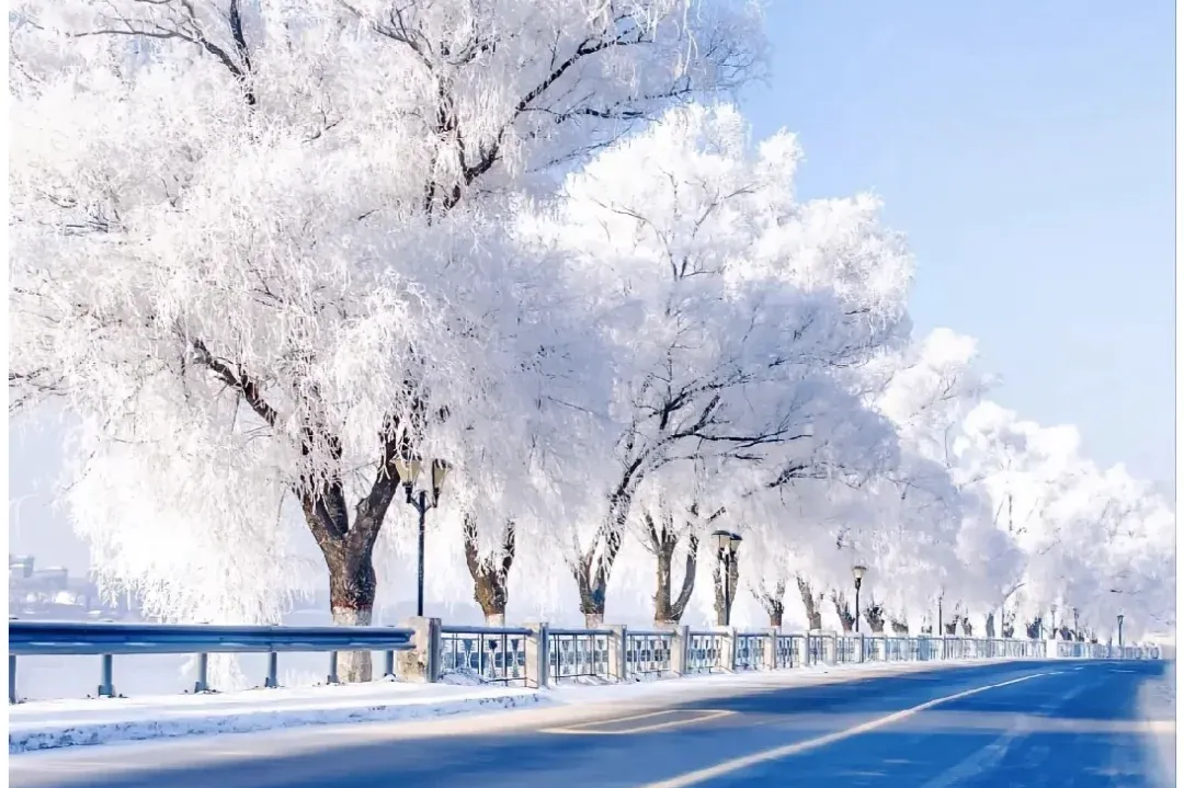 1b5ec7bbf90a220f90220a85b440924d-sz_2521805-3 1b5ec7bbf90a220f90220a85b440924d-sz_2521805-3