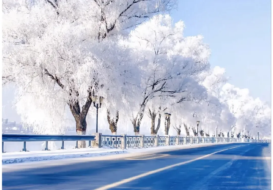 1b5ec7bbf90a220f90220a85b440924d-sz_2521805-5 1b5ec7bbf90a220f90220a85b440924d-sz_2521805-5