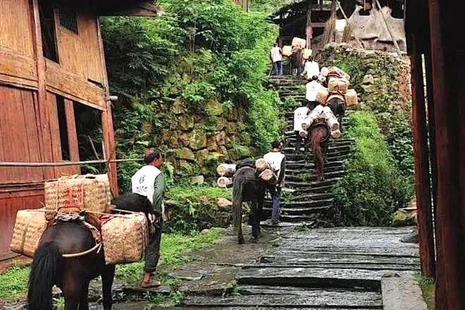 1b6a4e94847e4199879810bed6414f87-sz_1102527 1b6a4e94847e4199879810bed6414f87-sz_1102527