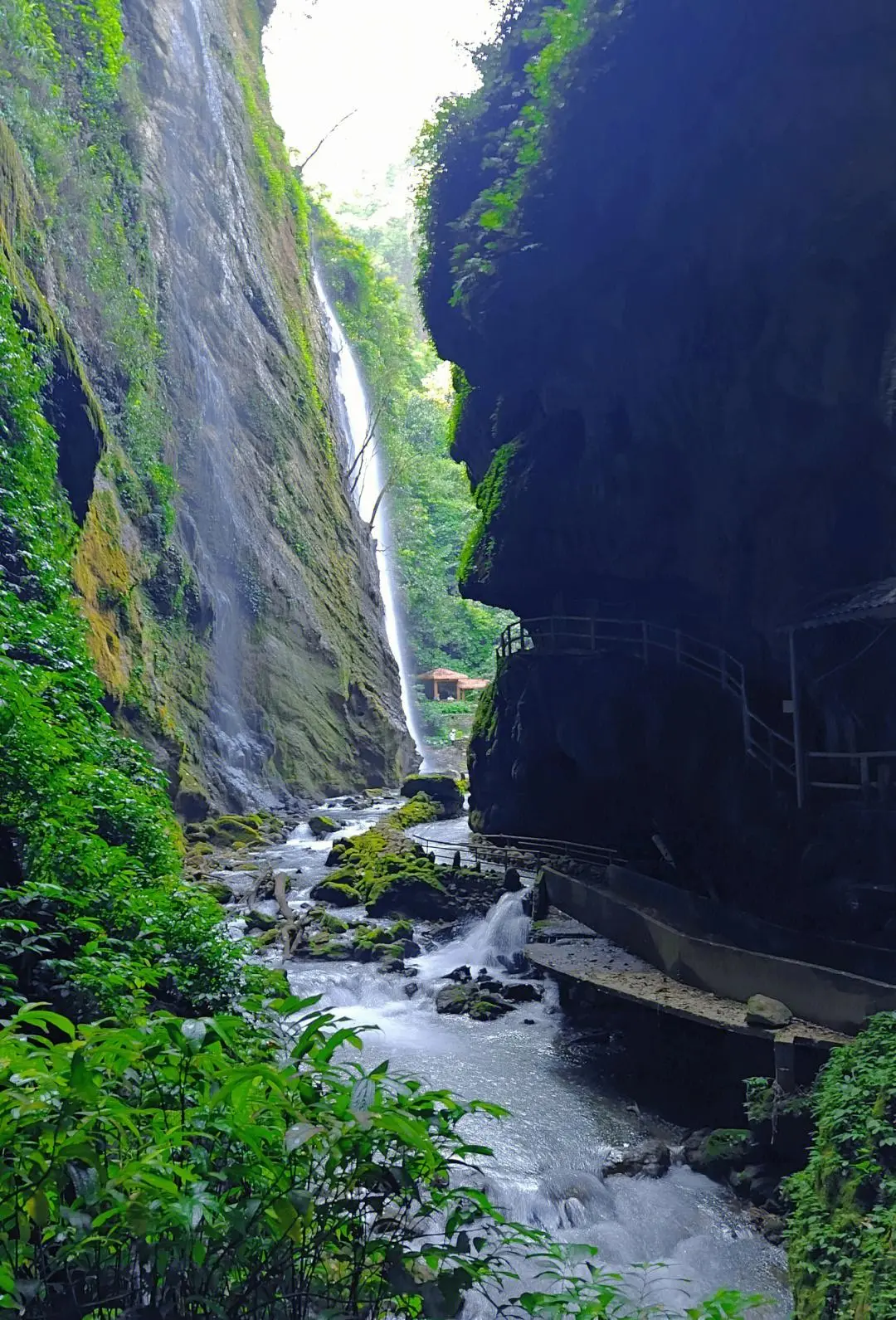 1b9d01c5dd99953b4f844f91ce2e05c1-sz_315970 1b9d01c5dd99953b4f844f91ce2e05c1-sz_315970