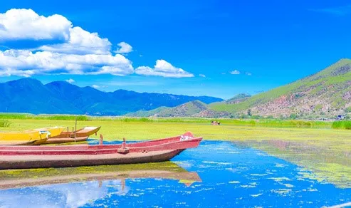 1c039a759383fe09c4cd668dab175304-sz_49202 1c039a759383fe09c4cd668dab175304-sz_49202