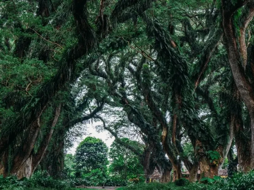 1c20c91a87bdd57855f859f9e1e2f990-sz_518075 1c20c91a87bdd57855f859f9e1e2f990-sz_518075