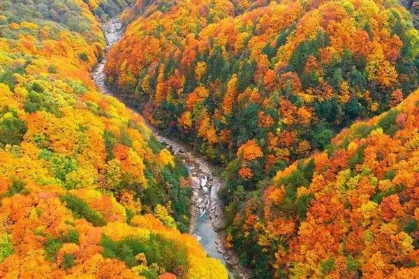 绝美秋色❤梦境光雾山❤光雾山核心景区米仓山+十八月潭+阆中古城+汉中兴汉胜境+广元剑门关+千佛崖+明月峡双卧8日游