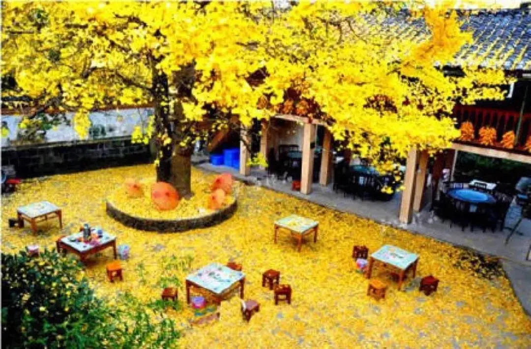 1c6ac99095909f0ea4d2f93ff078454d-sz_152708-1