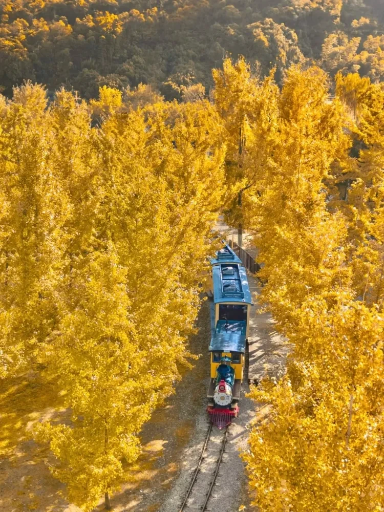 1ced5e23c39f45468c86bc45a1a8ada7-sz_4125022 1ced5e23c39f45468c86bc45a1a8ada7-sz_4125022