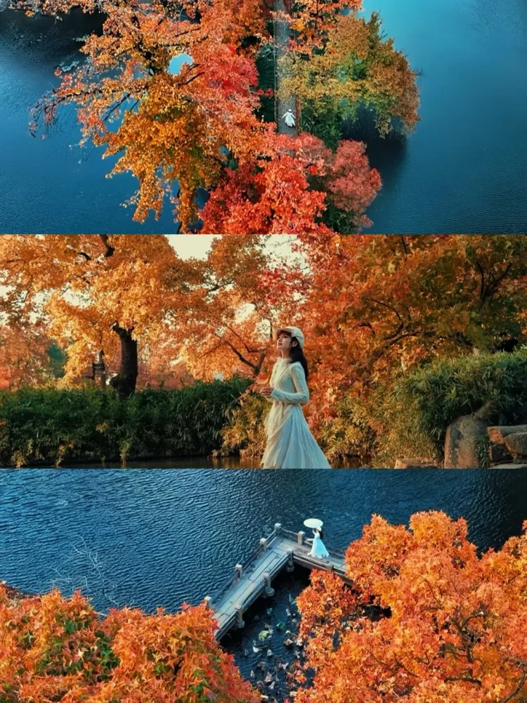 1d9621e4d64a9823e75ad93f6b448b96-sz_4087468 1d9621e4d64a9823e75ad93f6b448b96-sz_4087468