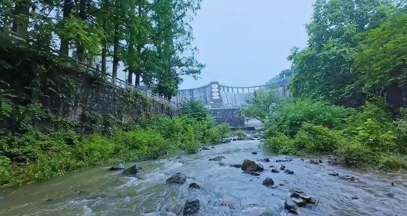 1d96a411cc15d5eff5417b6e009c30aa-sz_706608-2