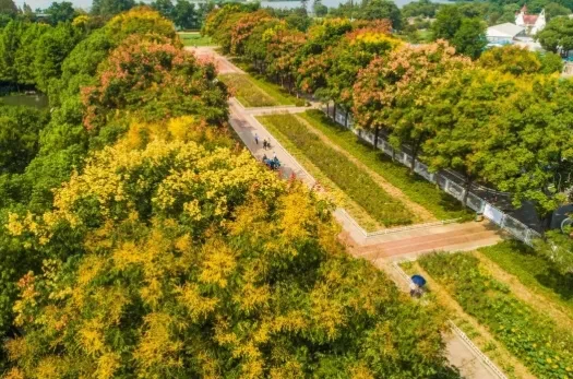 1dd77e4874818a685261412c8a28e66a-sz_530683 1dd77e4874818a685261412c8a28e66a-sz_530683