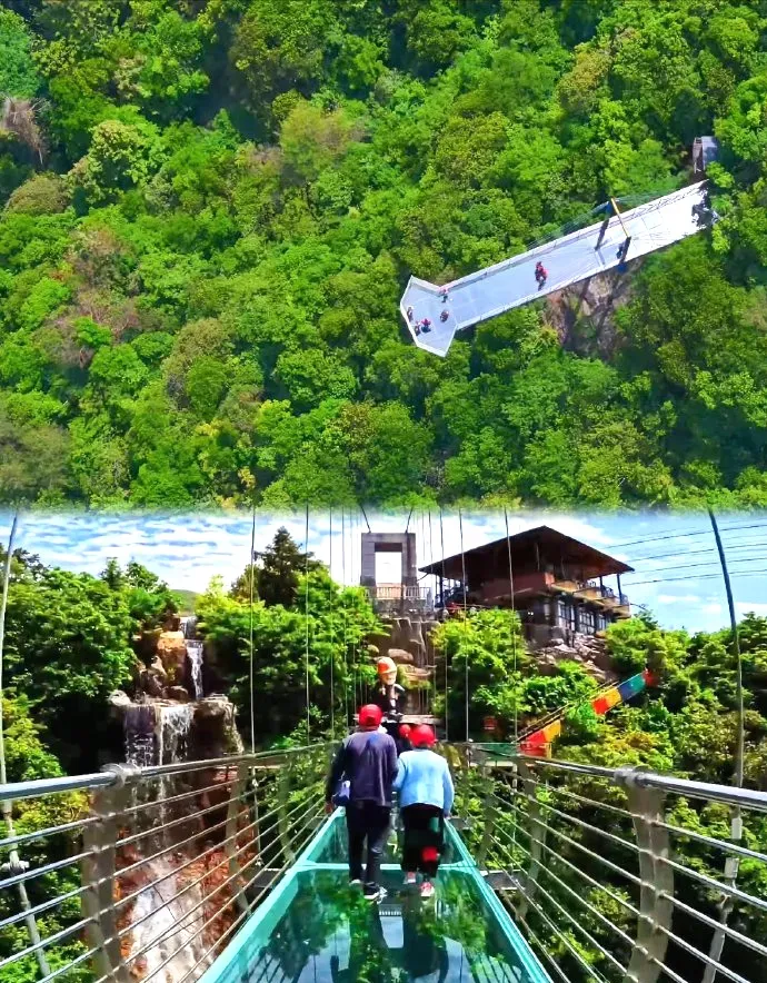 1e0417b1381fca6241fe28a0a7003d62-sz_1818550