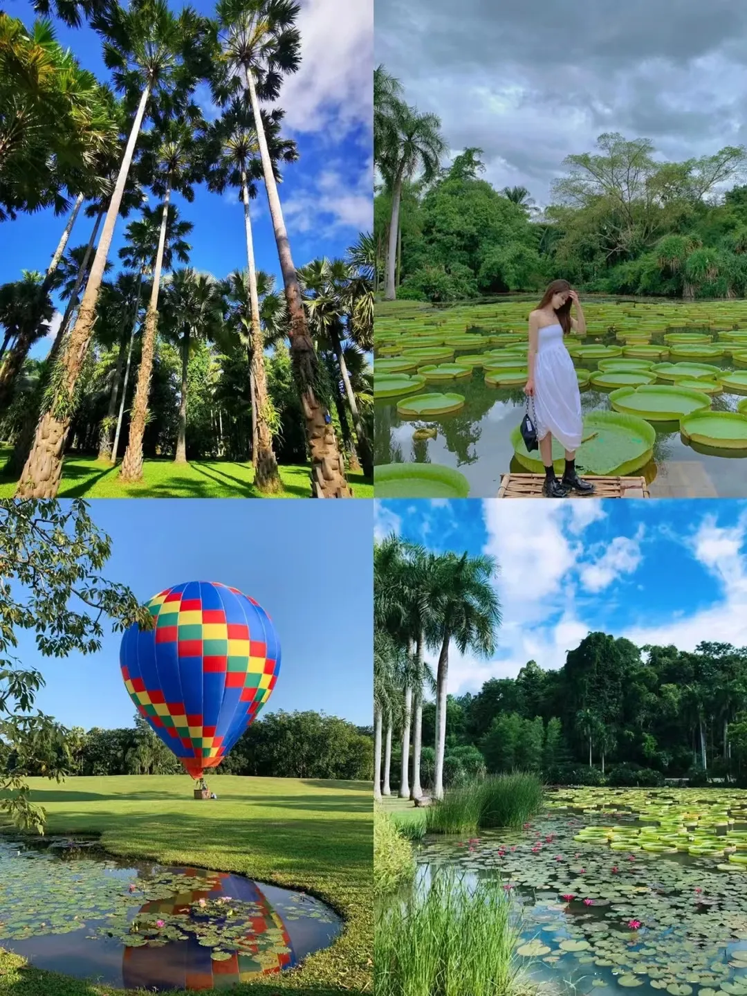 1e2193b11fc22a94b806d52c3d1bb28d-sz_587006 1e2193b11fc22a94b806d52c3d1bb28d-sz_587006