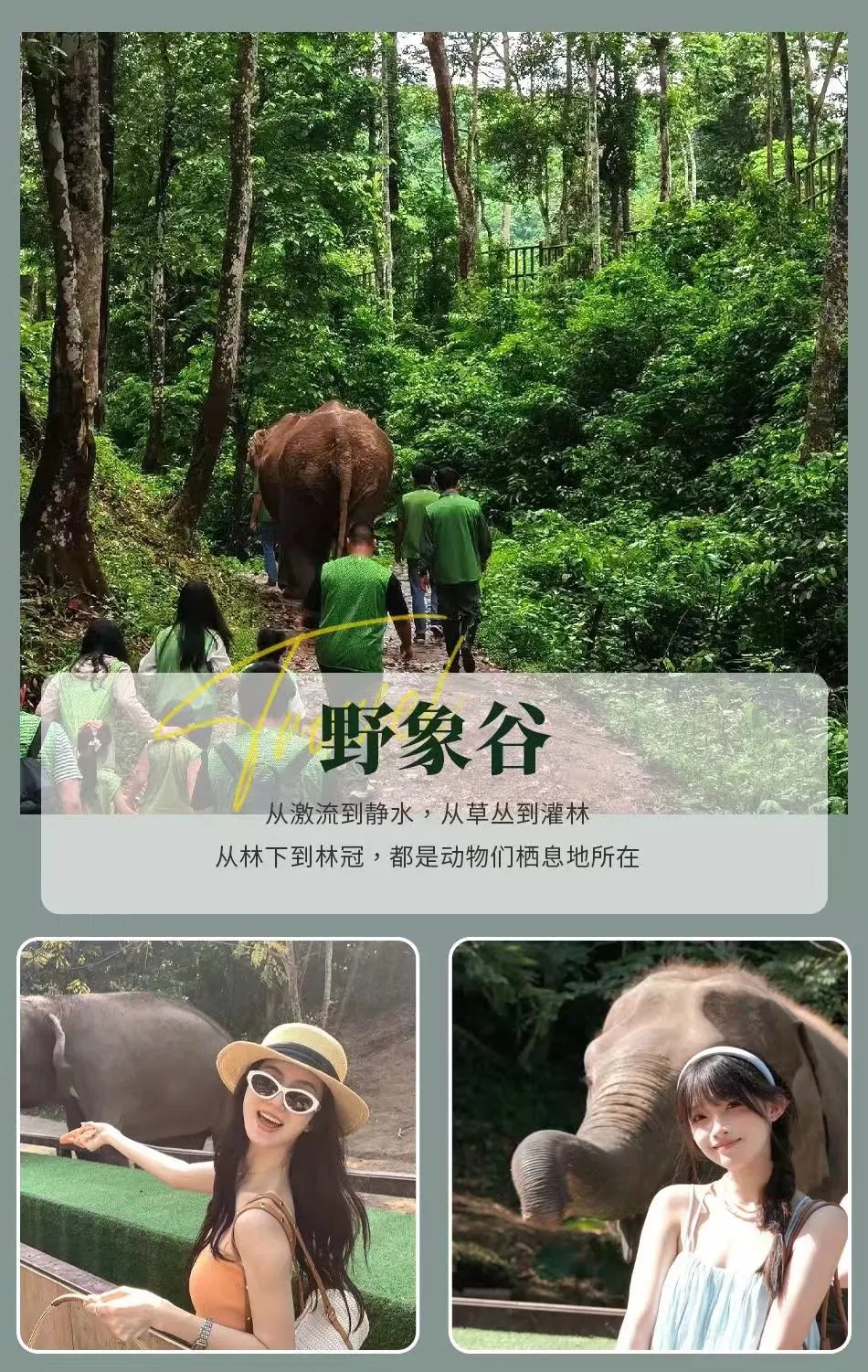 1e21bb441416aa0a16f7bed0a1571008-sz_792912-1 1e21bb441416aa0a16f7bed0a1571008-sz_792912-1