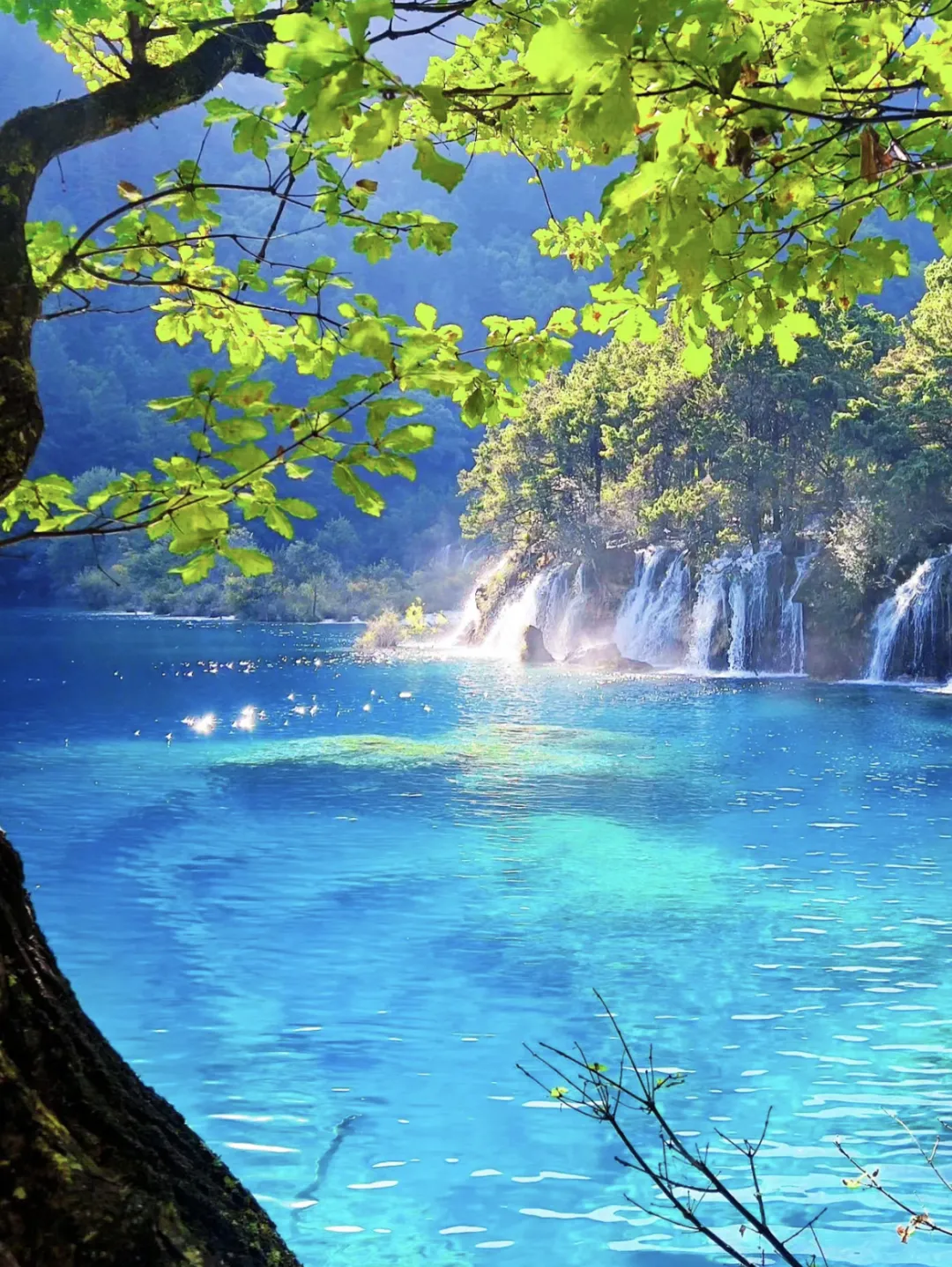 1e306b68432bdef1a80c73dab4f3cae2-sz_2431589 1e306b68432bdef1a80c73dab4f3cae2-sz_2431589