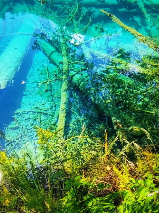 1eb8fc05b609dd67fe03f05a0b3faebb-sz_2565206-1 1eb8fc05b609dd67fe03f05a0b3faebb-sz_2565206-1