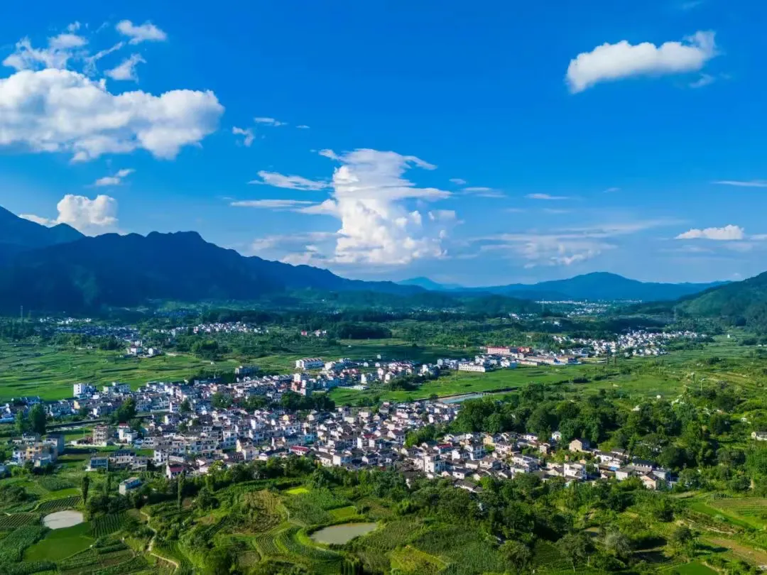 1ec2dd7a0ccc8caa05beab85c0c16723-sz_1125254-1 1ec2dd7a0ccc8caa05beab85c0c16723-sz_1125254-1