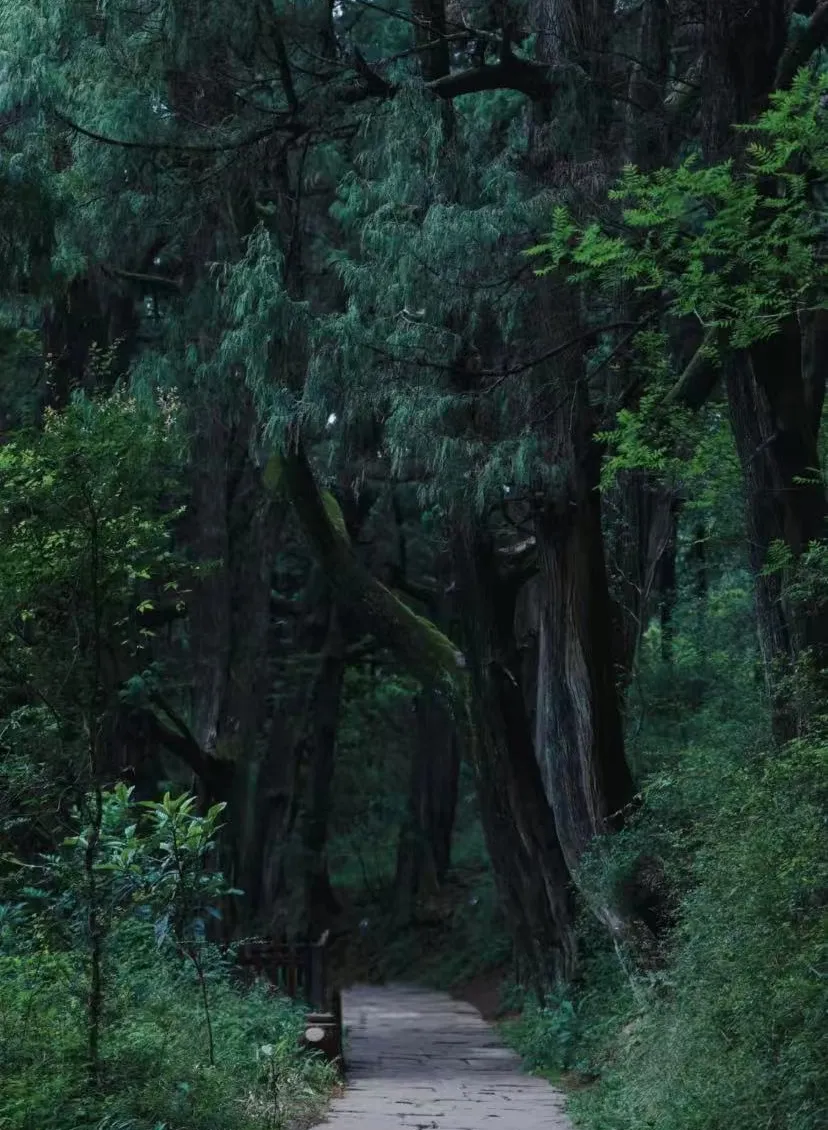 1fc82f1b16680ae8dd8abf64fb46f0c0-sz_2149964-1