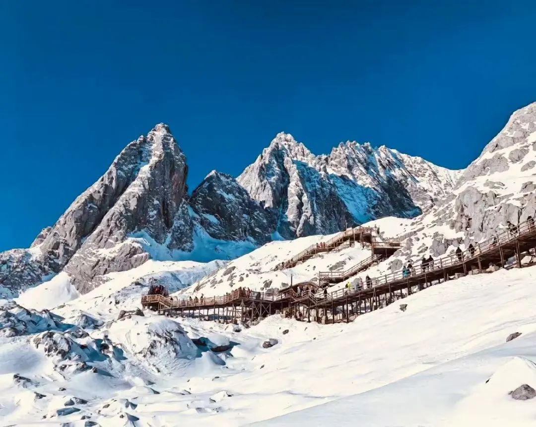 2057b0572687a7d71862d47f3acab3a8-sz_175531