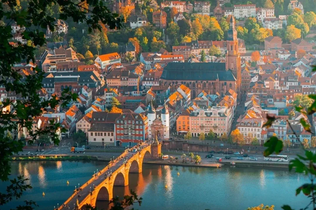 20815e26583a4ec80df2bc89527c0dec-sz_2700837