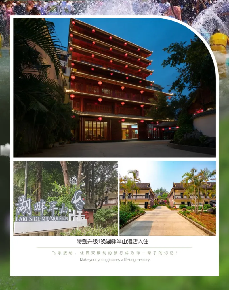 20acebe88caeb9710b9dd4a32addd4db-sz_1261449-1