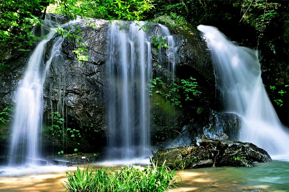 20f0bb63bde88d31d86c9465ddcaead2-sz_988606