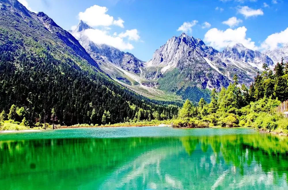 21185f8b469aa7ef3f29d5b94c1f3a09-sz_1792679-1 21185f8b469aa7ef3f29d5b94c1f3a09-sz_1792679-1