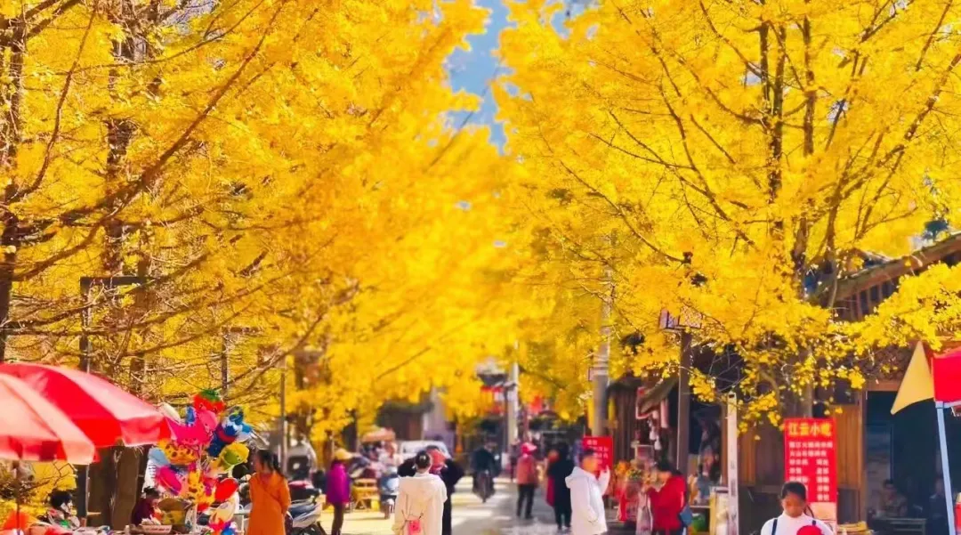 2126d5b984b95347cd4a810044aaba29-sz_773076 2126d5b984b95347cd4a810044aaba29-sz_773076