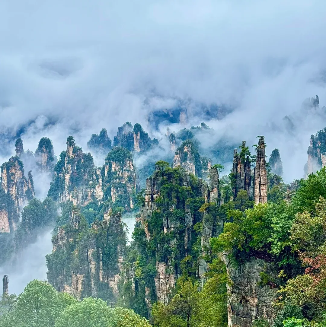 212870bd69443c51c727162b9a8fdda5-sz_2529359 212870bd69443c51c727162b9a8fdda5-sz_2529359