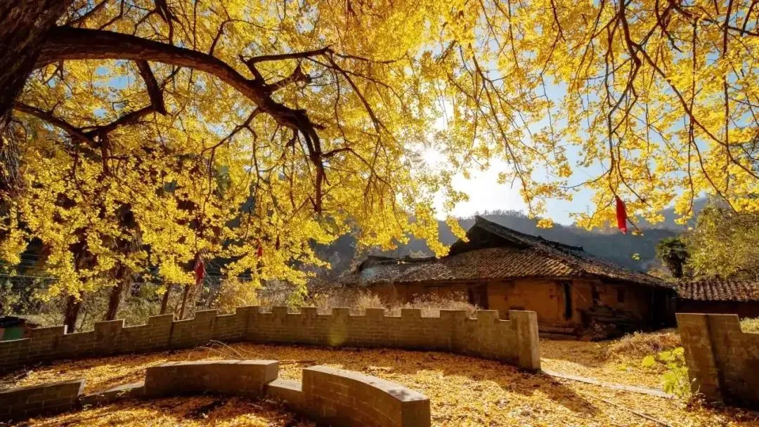 2139448fdb96e05ceb82d6b2fe7dfd9b-sz_208559