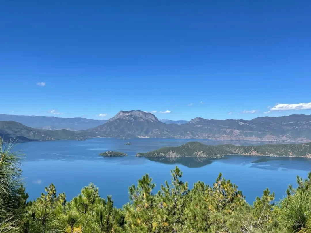 213cfb35e69c7bfb9511e4d02ac0668d-sz_309114