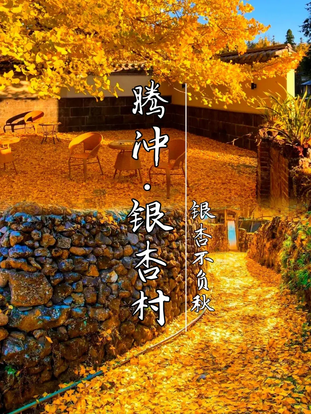 21671e6b65a1b5d700d4e10d824d794a-sz_3309680 21671e6b65a1b5d700d4e10d824d794a-sz_3309680