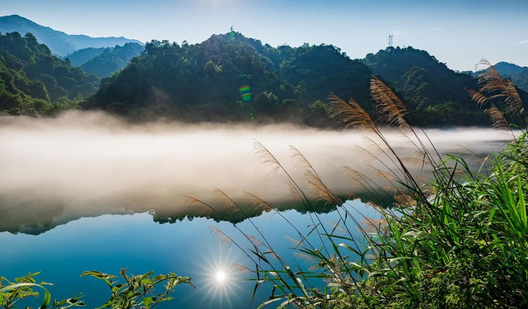 217540d63eaa2ce69343acc1b6cae839-sz_926076 217540d63eaa2ce69343acc1b6cae839-sz_926076