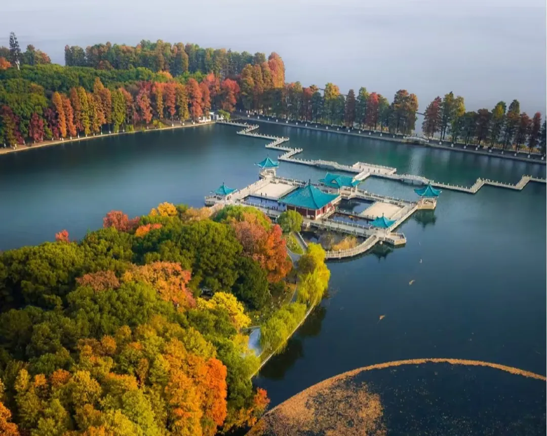 219864c2f0889f44646dc80c81fd6342-sz_494122 219864c2f0889f44646dc80c81fd6342-sz_494122